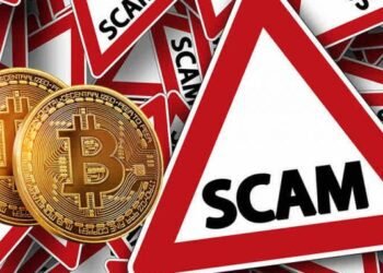 Enforcement Directorate Nabs and Seizes Rs 1,144 Crore in Crypto Fraud