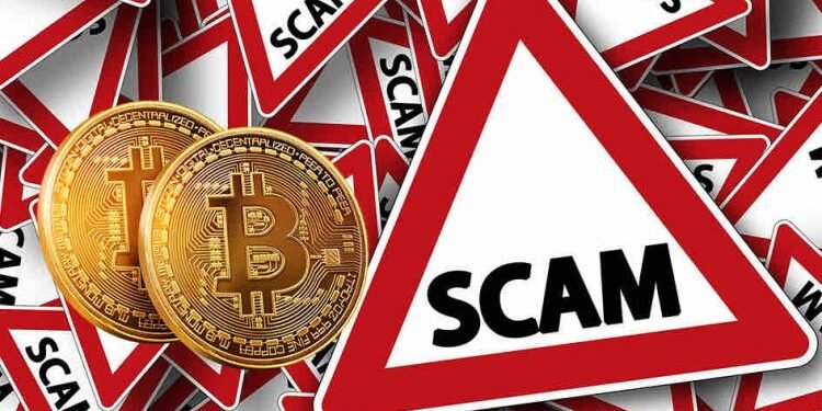 Enforcement Directorate Nabs and Seizes Rs 1,144 Crore in Crypto Fraud