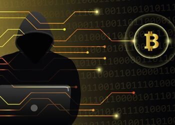 Enforcement Directorate Nabs and Seizes Rs 1,144 Crore in Crypto Fraud