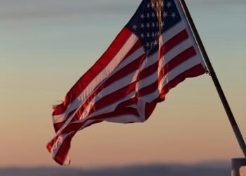 In America, only Indians become CEOs.