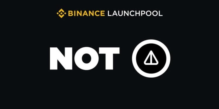 Notcoin (NOT) Price Soars 37% in First Two Weeks After Launch