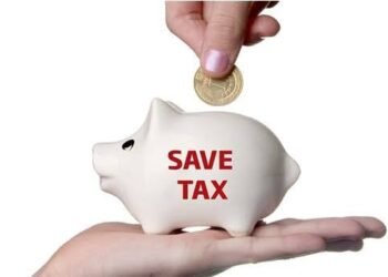 Maximize Your Tax Savings: Top 5 Small Savings Instruments under Section 80C