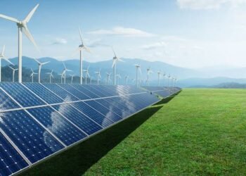 Rising to New Heights: Cable Stock Set to Soar Debt-Free by FY25