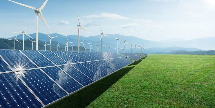 Rising to New Heights: Cable Stock Set to Soar Debt-Free by FY25