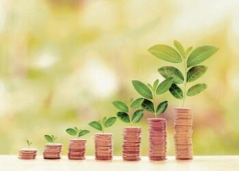 Rising to New Heights: Cable Stock Set to Soar Debt-Free by FY25