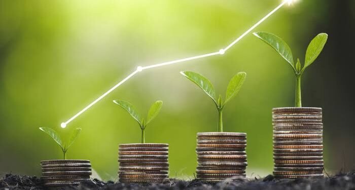 Rising to New Heights: Cable Stock Set to Soar Debt-Free by FY25