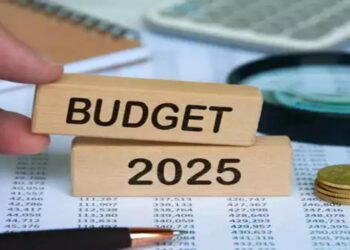 Experts Hope for Increased PLI, Lower Taxes in Budget 2025