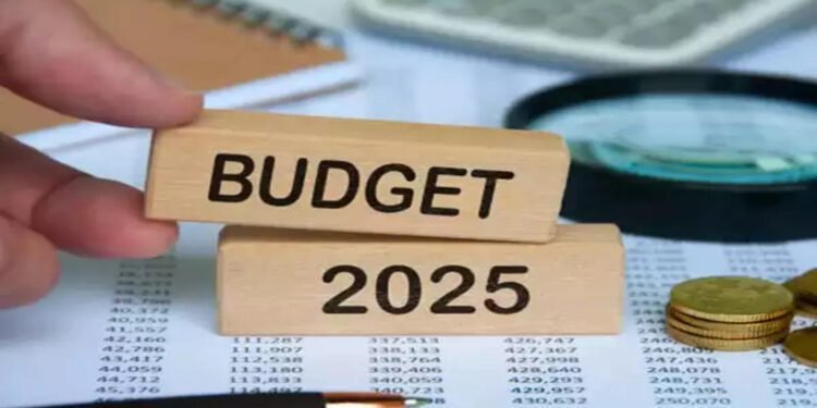 Experts Hope for Increased PLI, Lower Taxes in Budget 2025