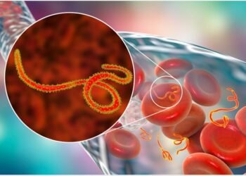 Nationwide Ebola Alert, India mandates screening in airports