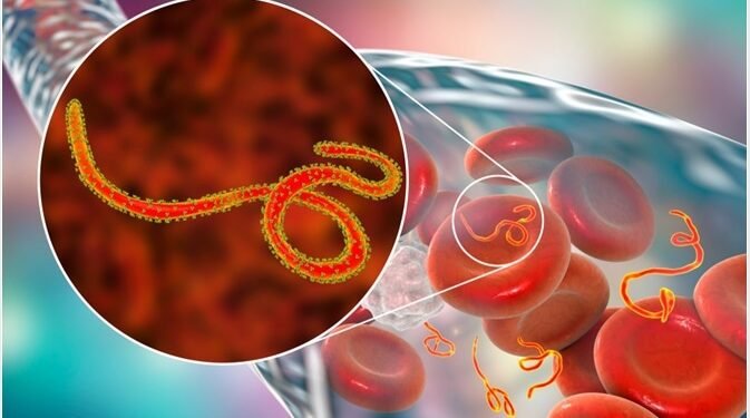 Nationwide Ebola Alert, India mandates screening in airports