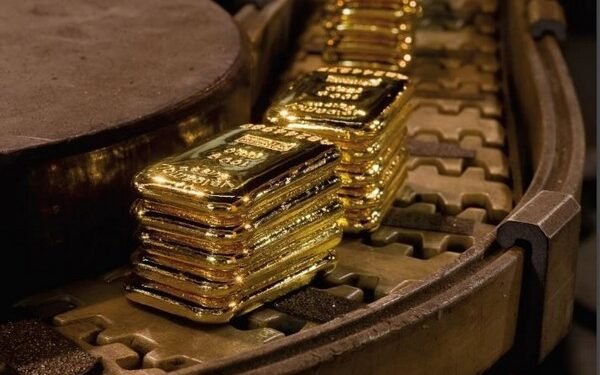 is ₹770 crore investor money safe with Rajesh exports?