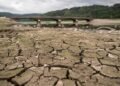 India records driest june in 16 years with 43% deficit