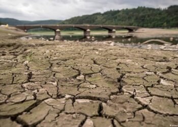 India records driest june in 16 years with 43% deficit